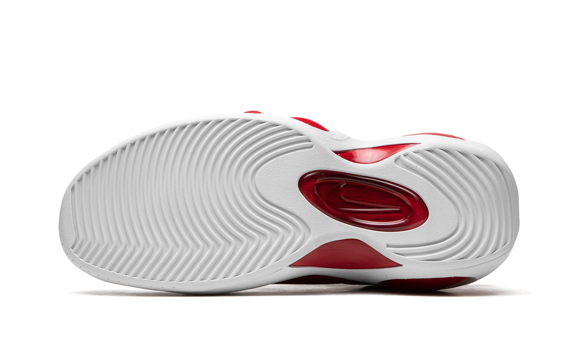 Air Zoom Flight 95 "True Red" DX1165 100