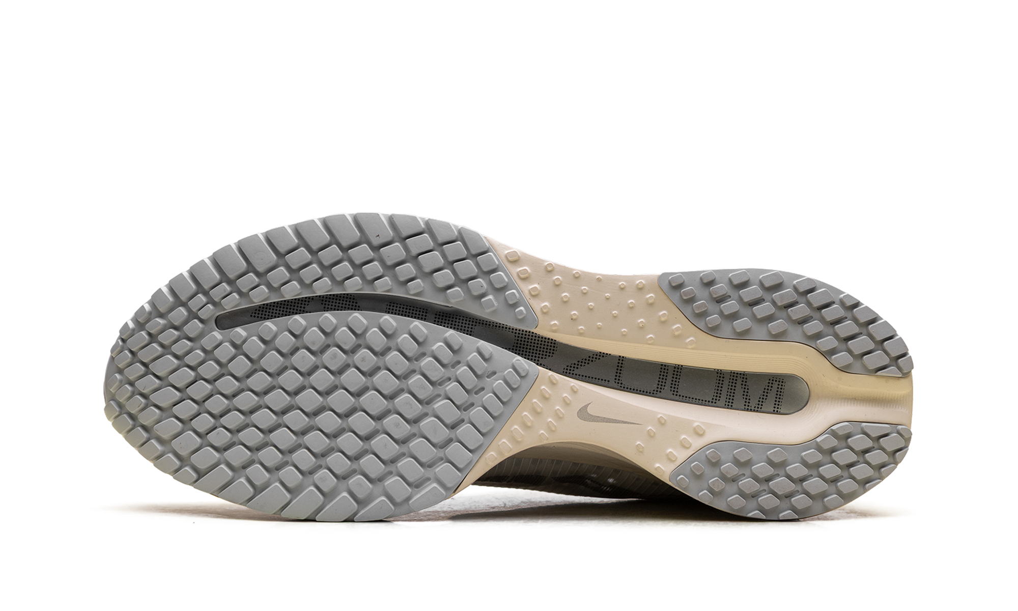 Air Zoom Pegasus Premium "Running is Mental" IQ0307 094